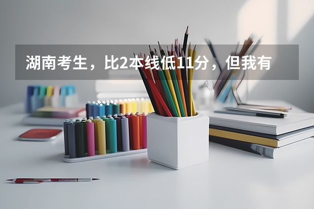 湖南考生,比2本线低11分,但我有民族加分20分,能被丽水学院预科班录取吗