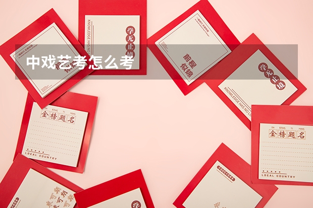 中戏艺考怎么考