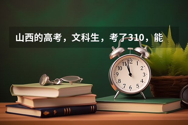 山西的高考,文科生,考了310,能上啥学校了?好点的大专什么的?