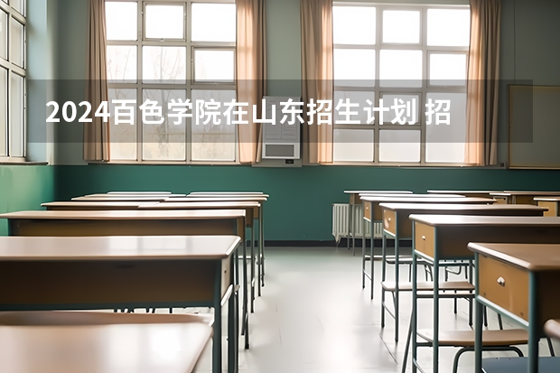 2024百色学院在山东招生计划 招生人数