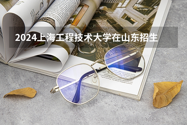 2024上海工程技术大学在山东招生计划 招生人数
