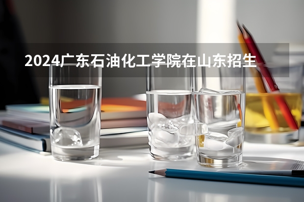 2024广东石油化工学院在山东招生计划 招生人数
