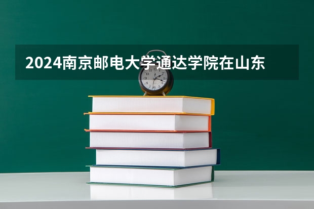 2024南京邮电大学通达学院在山东招生计划 招生人数