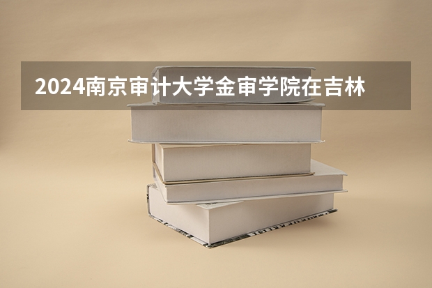 2024南京审计大学金审学院在吉林招生计划 招生人数