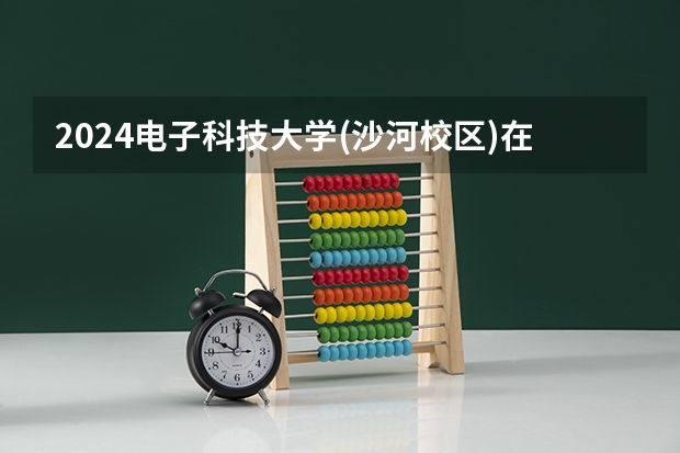2024电子科技大学(沙河校区)在吉林招生计划 招生人数