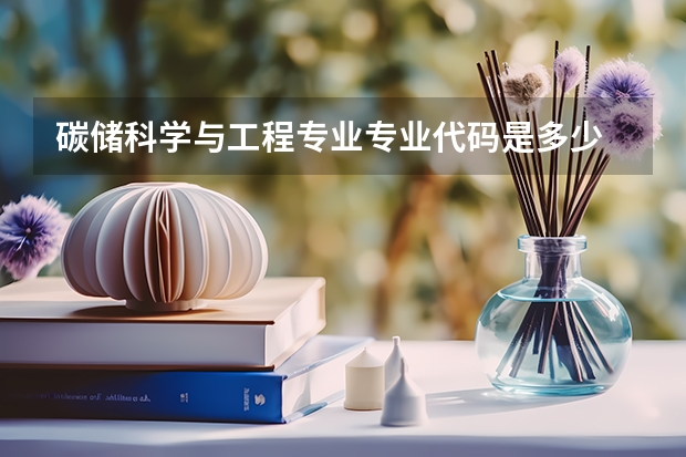 碳储科学与工程专业专业代码是多少