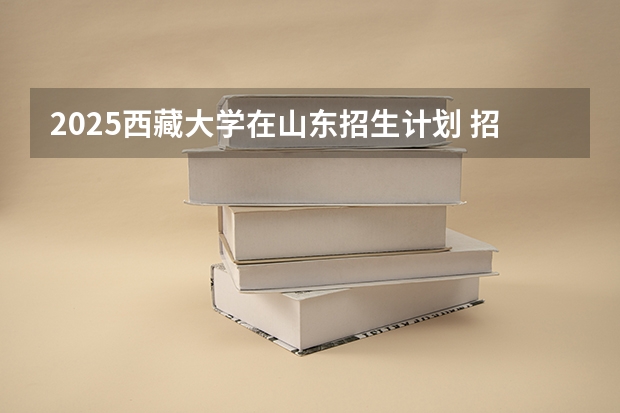 2025西藏大学在山东招生计划 招生人数预测