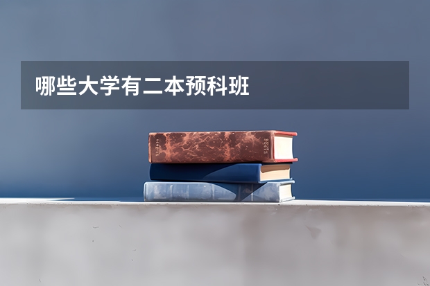 哪些大学有二本预科班