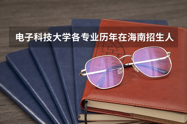 电子科技大学各专业历年在海南招生人数是多少