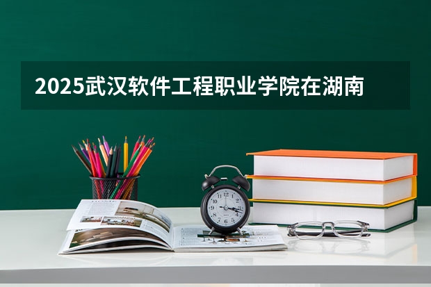 2025武汉软件工程职业学院在湖南招生计划 招生人数预测