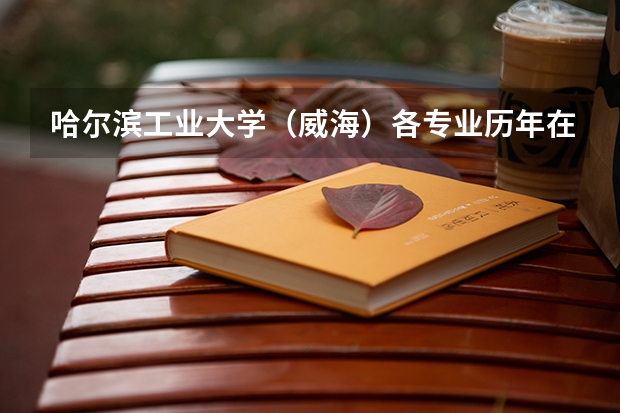 哈尔滨工业大学(威海)各专业历年在重庆招生人数是多少
