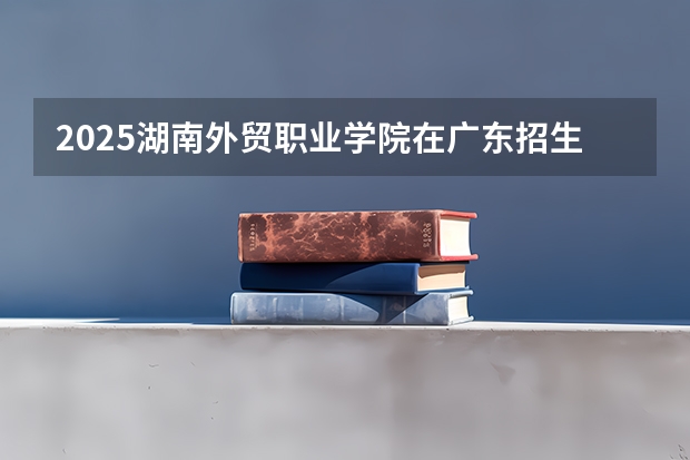 2025湖南外贸职业学院在广东招生计划 招生人数预测